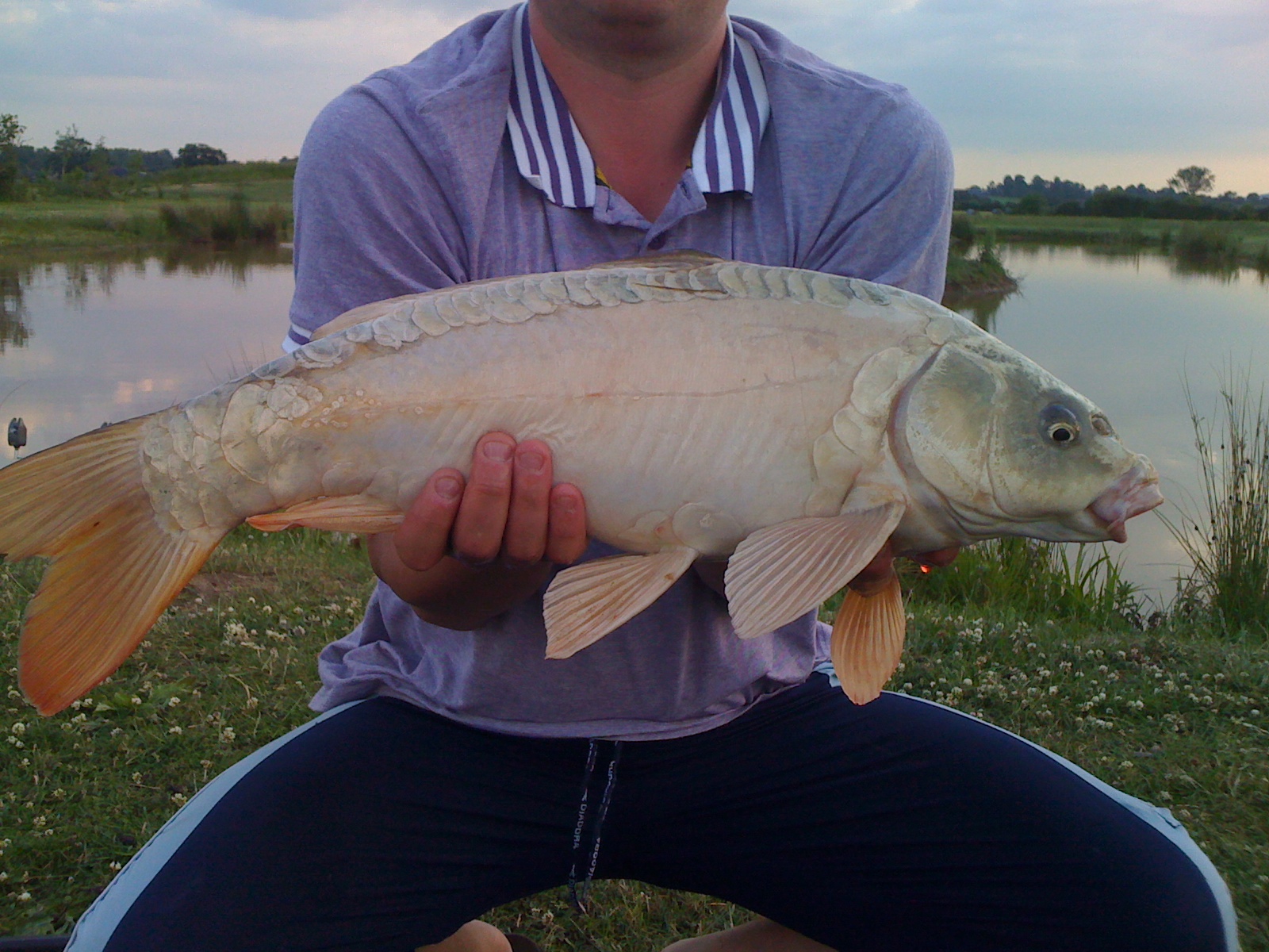 Chester Lakes Fishery New Farm Cheshire